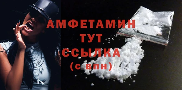 шишки Арсеньев