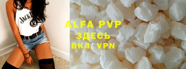 шишки Арсеньев