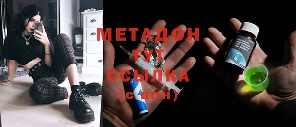 шишки Арсеньев