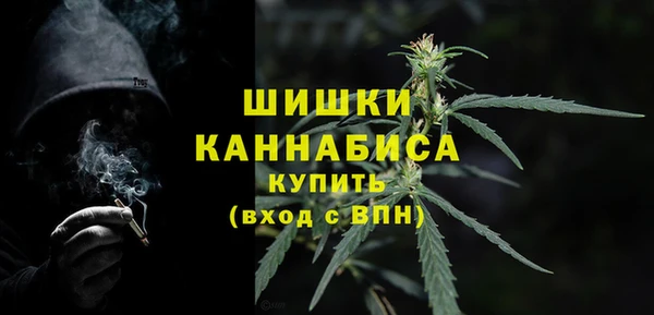 шишки Арсеньев