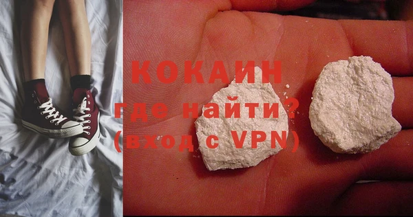 шишки Арсеньев
