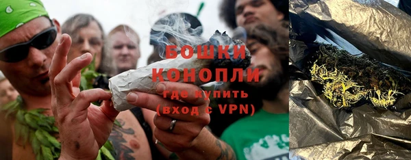 шишки Арсеньев