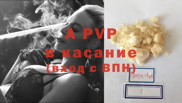 шишки Арсеньев