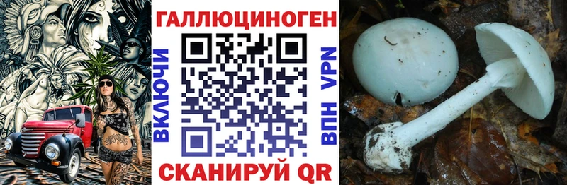 продажа наркотиков  Пудож  Галлюциногенные грибы мухоморы 